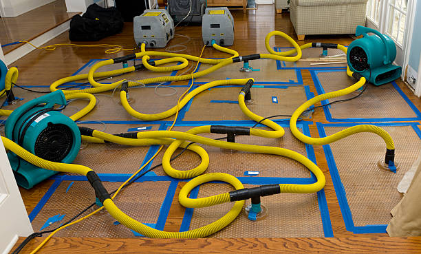 Professional Emergency Water Removal technician working in Hickman, TN